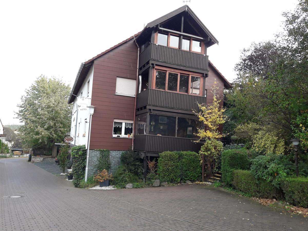 Landhotel Alte Muehle Modautal Exteriér fotografie